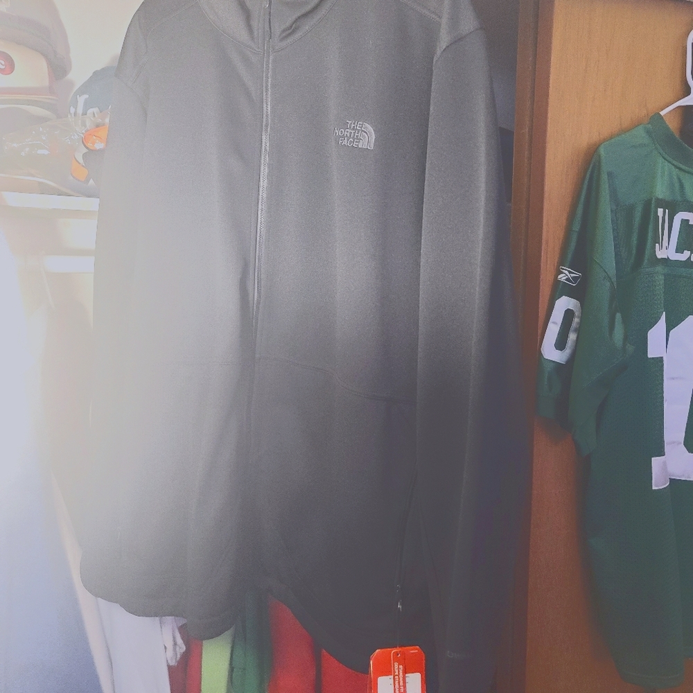 The North face jacket